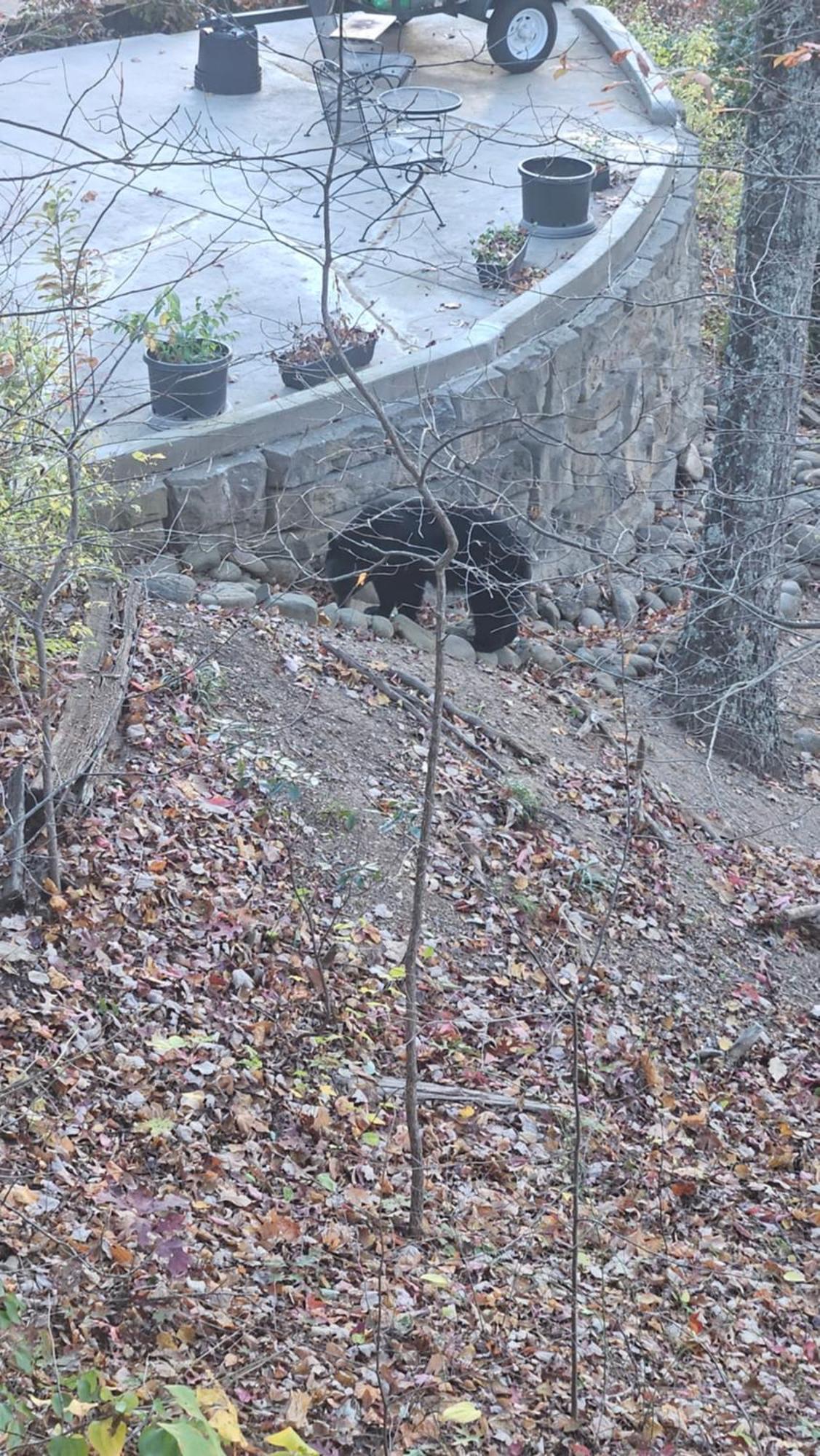 Southern Oak At Chalet Village - 5 Minutes From Gatlinburg And National Park Luaran gambar
